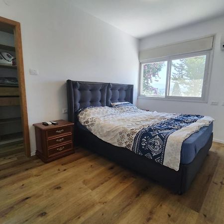 הסוויטה של דפנחי Apartment Ramat Yishay Exterior photo